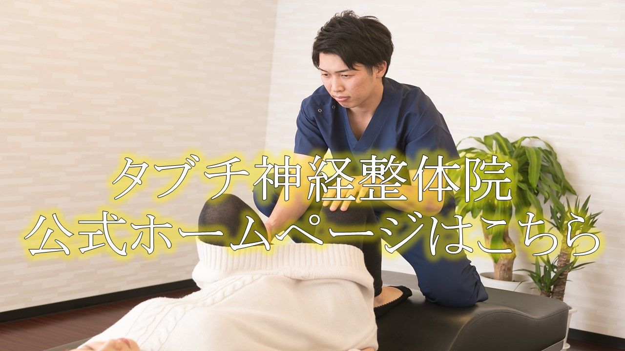 ホームページリンク